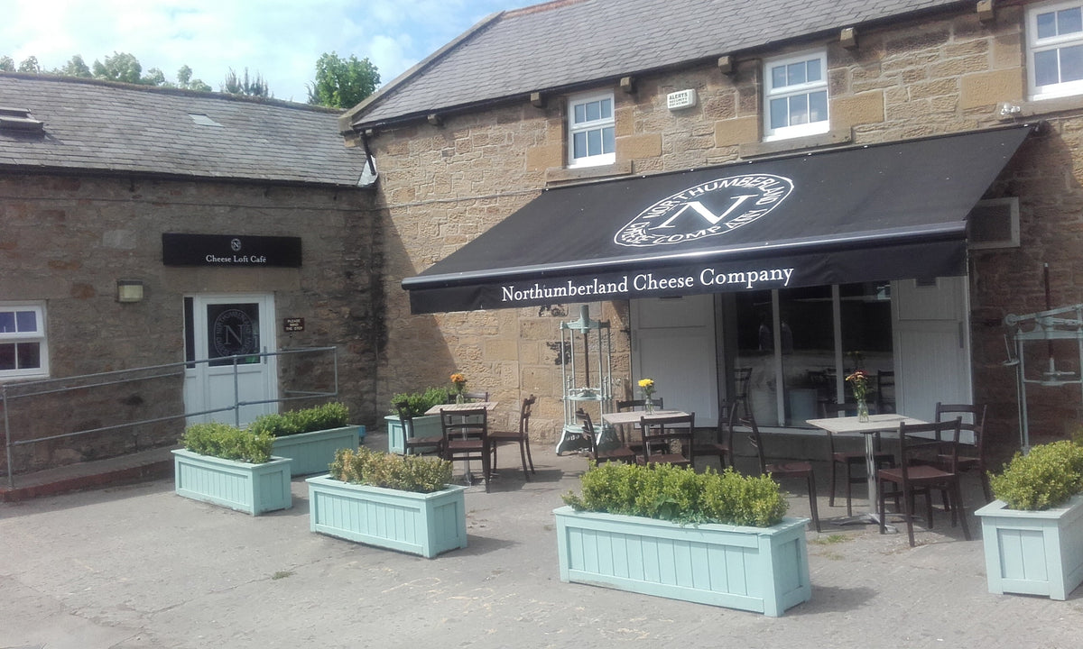 The Northumberland Cheese Company awning and Cheese Loft Café entrance on the Blagdon Estate, with planters and outdoor tables