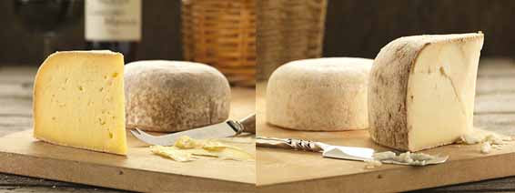 Cut wedges and whole rounds of Coquetdale and Brinkburn cheese on wooden boards beside cheese knives