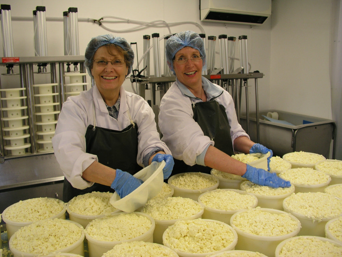 Two cheesemakers in hairnets, aprons and blue gloves filling cheese moulds with fresh curd in the dairy