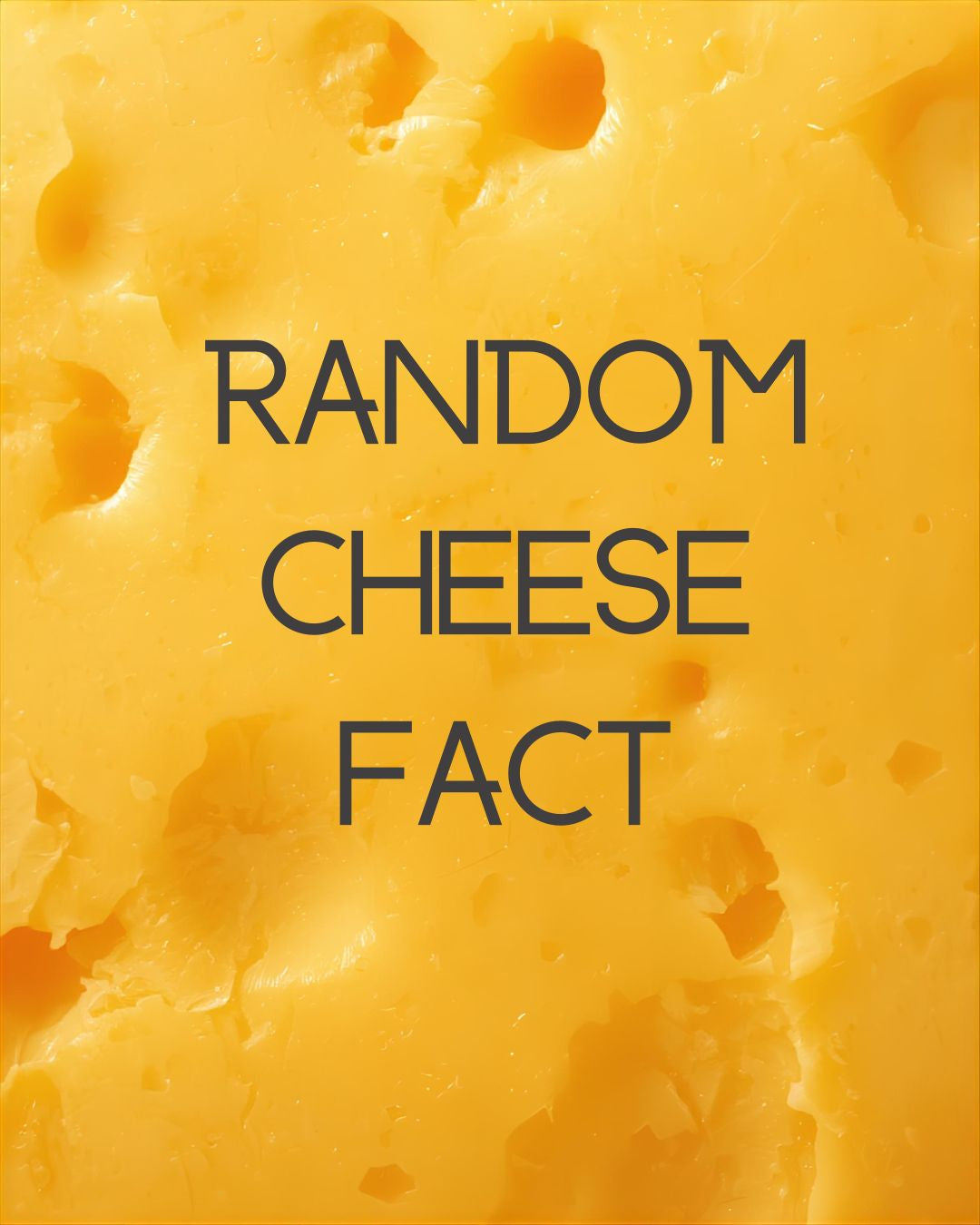 Random cheese fact title over a close-up of yellow cheese with holes