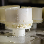 Fresh curd in white cheese moulds in the dairy, whey dripping onto the steel table