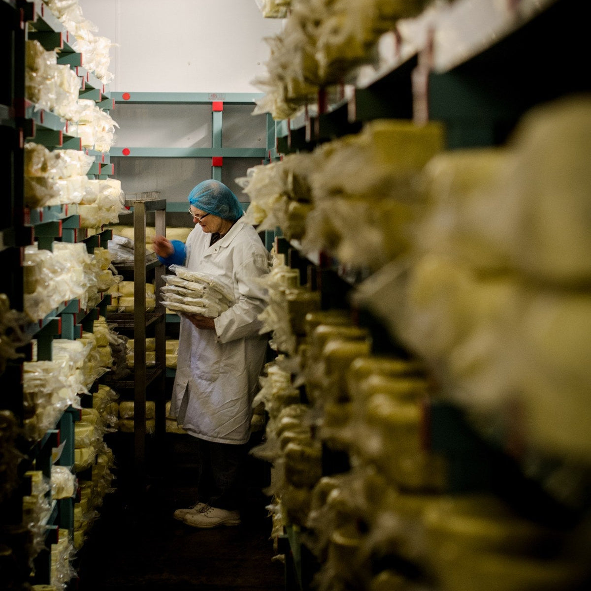 A cheesemaker in a white coat and hairnet carrying wrapped cheeses between tall racks in the cheese store