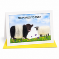 From Moo To Ewe greeting card with a woolly Belted Galloway cow and a sheep in a flowery meadow, with a yellow envelope
