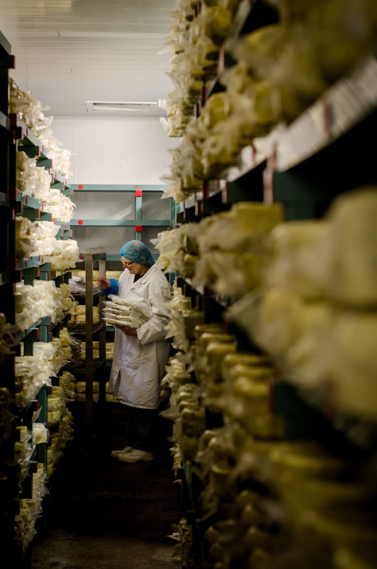 A cheesemaker in a white coat and hairnet holding wrapped cheeses between tall racks in the dairy's cheese store