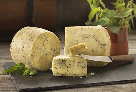 Nettle Cheese truckle and wedges flecked with nettles on a slate, with fresh nettle leaves and a cheese knife